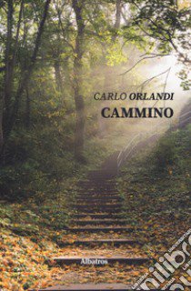 Cammino libro di Orlandi Carlo