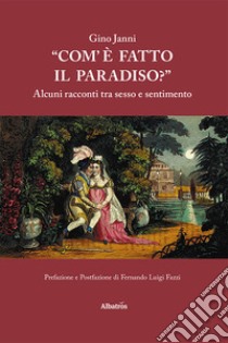 «Com'è fatto il paradiso?» Alcuni racconti tra sesso e sentimento libro di Janni Gino