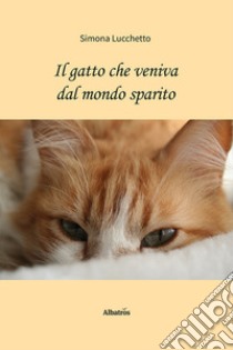 Il gatto che veniva dal mondo sparito libro di Lucchetto Simona