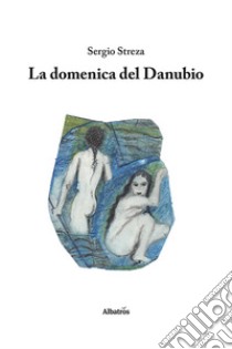 La domenica del Danubio libro di Streza Sergio