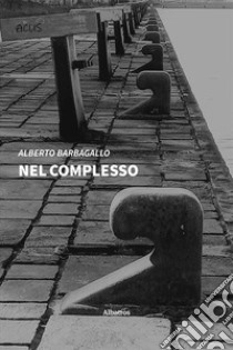 Nel complesso libro di Barbagallo Alberto