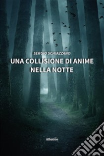 Una collisione di anime nella notte libro di Schiazzano Sergio