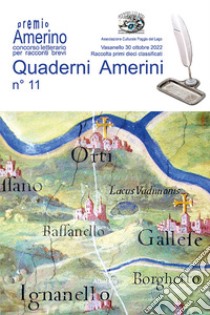 Quaderni amerini. Vol. 11 libro