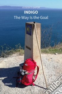 Indigo. The way Is the goal libro di Dapor Federico