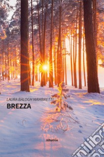 Brezza libro di Balogh Mambretti Laura