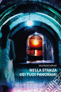 Nella stanza dei tuoi panorami libro di Bruni Valeriano