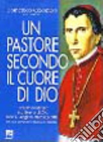 Un pastore secondo il cuore di Dio. Vol. 2: Testimonianze sul Servo di Dio Mons. Angelo Ramazzotti vescovo di Pavia e patriarca di Venezia. libro di Colombo C. (cur.)