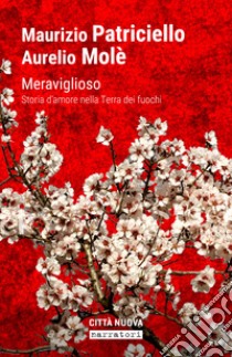 Meraviglioso. Storia d'amore nella «terra dei fuochi» libro di Patriciello Maurizio; Mole A.