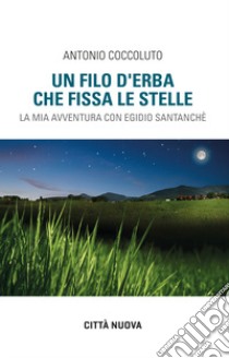 Un filo d'erba che fissa le stelle. La mia avventura con Egidio Santanchè libro di Coccoluto Antonio