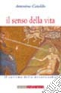 Il senso della vita libro di Cataldo Antonina