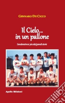 Il cielo... in un pallone libro di De Cicco Gennaro