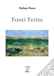 Fonti Ferite libro di Toson Stefano