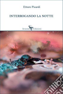 Interrogando la notte libro di Picardi Ettore