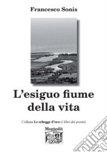 L'esiguo fiume della vita libro di Sonis Francesco