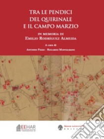 Tra le pendici del Quirinale e il Campo Marzio. Con grande pianta archeologica ripiegata libro di Pizzo A. (cur.); Montalbano R. (cur.)