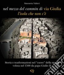 Nel mezzo del cammin di via Giulia, l'isola che non c'è. Storia e trasformazioni nel «cuore» della strada voluta nel 1508 da papa Giulio II libro di Valtieri Simonetta