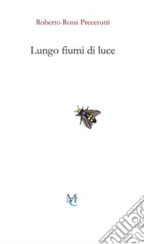 Lungo fiumi di luce libro di Rossi Precerutti Roberto