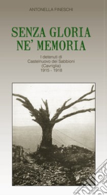 Senza gloria né memoria. I detenuti di Castelnuovo dei Sabbioni (Cavriglia) 1915-1918 libro di Fineschi Antonella