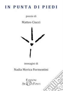 In punta di piedi libro di Ciucci Matteo; Formentini Nadia Merica