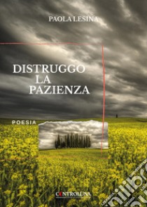 Distruggo la pazienza libro di Lesina Paola