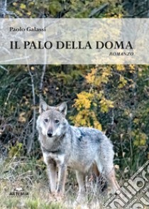 Il palo della doma libro di Galassi Paolo