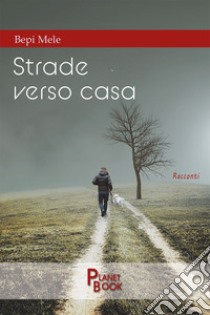 Strade verso casa libro di Mele Bepi