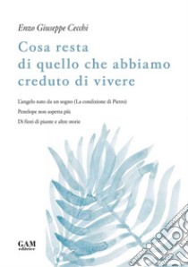 Cosa resta di quello che abbiamo creduto di vivere. L'angelo nato da un sogno (La condizione di Pietro). Penelope non aspetta più. Di fiori di piante e altre storie libro di Cecchi Giuseppe Enzo