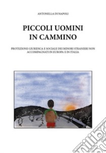 Piccoli uomini in cammino libro di Di Napoli Antonella