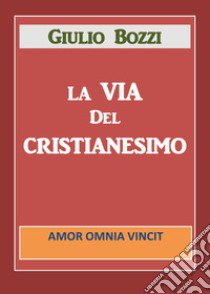 La via del Cristianesimo libro di Bozzi Giulio