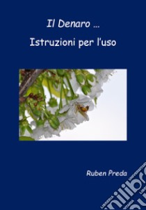 Il denaro... Istruzioni per l'uso libro di Preda Ruben