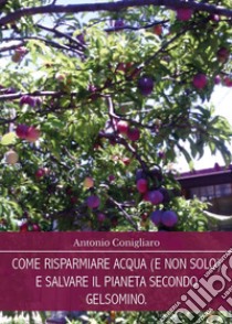 Come risparmiare acqua (e non solo) e salvare il pianeta secondo Gelsomino libro di Conigliaro Antonio