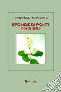 Sponde di ponti invisibili libro di Raggente Gabriele