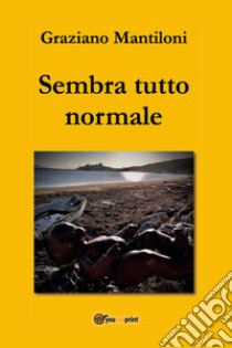 Sembra tutto normale libro di Mantiloni Graziano