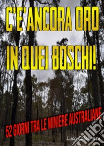 C'è ancora oro in quei boschi! 52 giorni tra le miniere australiane libro di Calabrese Luca