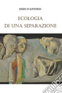 Ecologia di una separazione libro di D'Antonio Enzo