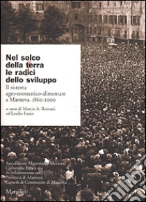 Nel solco della terra le radici dello sviluppo. Il sistema agro-zootecnico-alimentare a Mantova. 1860-2000 libro