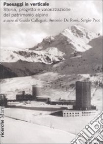 Paesaggi in verticale. Storia, progetto e valorizzazione del patrimonio alpino libro