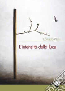 L'intensità della luce libro di Passi Corrado