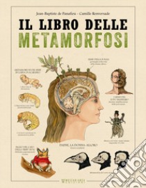 Il libro delle metamorfosi libro di De Panafieu Jean-Baptiste; Renversade Camille