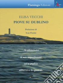 Piove su Dublino libro di Vecchi Elisa