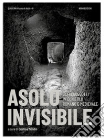 Asolo invisibile. Gli acquedotti in cunicolo romano e medievale libro di Mondin Cristina; Genevois Rinaldo; Berti Matteo