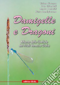 Damigelle e dragoni. Atlante delle libellule del Friuli Venezia Giulia libro di Fiorenza Tiziano; Chiandetti Ivan; Pontarini Renato