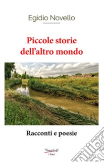 Piccole storie dell'altro mondo. Racconti e poesie libro di Novello Egidio