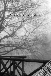 Strade di nebbia libro di Orlandini Antonella