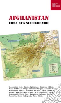 Afghanistan. Cosa sta succedendo libro di Ceci A. (cur.)