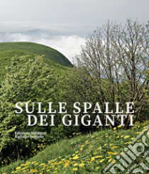 Sulle spalle dei giganti. Ediz. italiana e inglese libro di Agostini Nevio (cur.); Cangini G. (cur.); Locatelli F. (cur.)