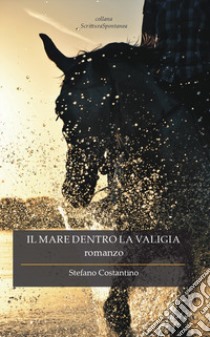 Il mare dentro la valigia libro di Costantino Stefano