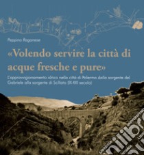 «Volendo servire la città di acque fresche e pure». L'approvvigionamento idrico nella città di Palermo dalla sorgente del Gabriele alla sorgente di Scillato (IX-XXI secolo) libro di Ragonese Peppino