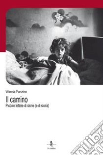 Il camino. Piccole lettere di storie (e di storia) libro di Panzino Wanda