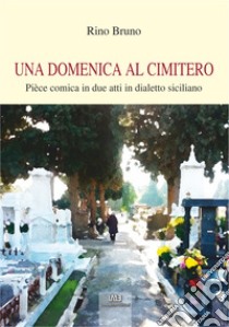 Una domenica al cimitero. Pièce comica in due atti in dialetto siciliano libro di Bruno Rino